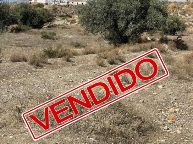 Parcela Urbana Venta Almería