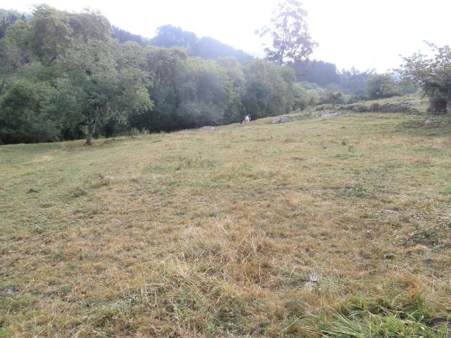 Parcela Urbana Venta Asturias