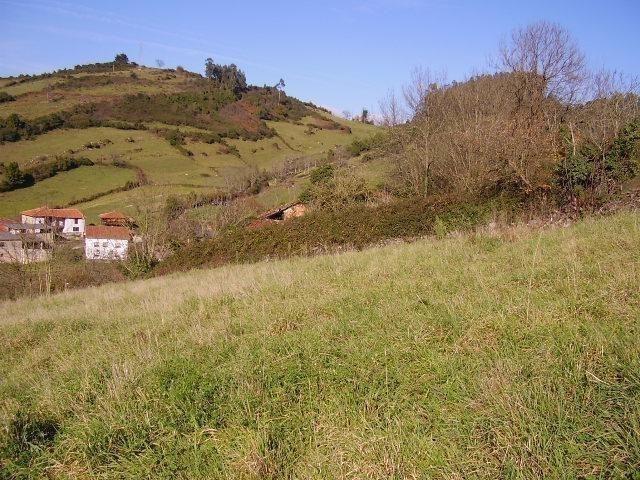 Parcela Urbana Venta Asturias