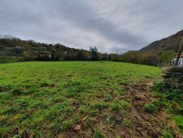 Parcela Urbana Venta Asturias