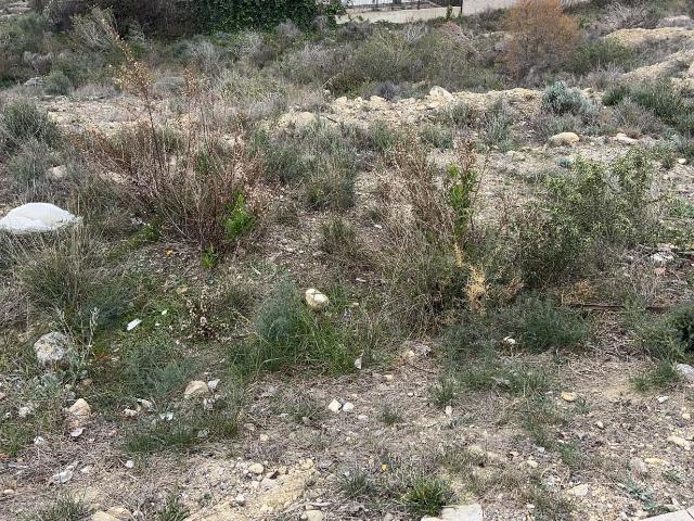 Parcela Urbana Venta Murcia