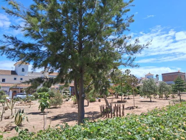 PARCELA URBANA ZONA JARA