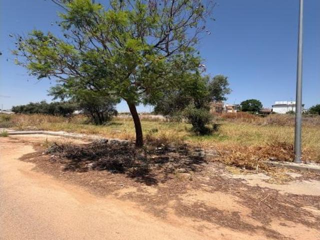 PARCELA URBANA DE 551 M2 EN ESPARTINAS – ÚLTIMA OPORTUNIDAD EN LA ZONA