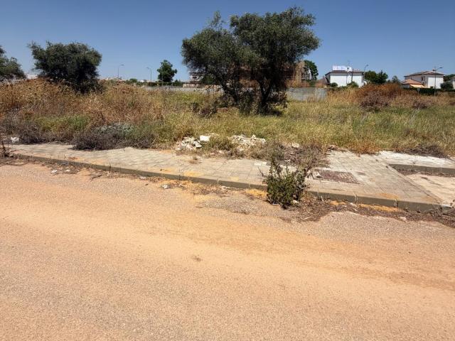PARCELA URBANA DE 551 M2 EN ESPARTINAS – ÚLTIMA OPORTUNIDAD EN LA ZONA