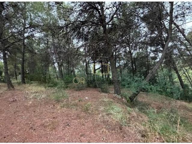 Parcela urbana de 1.294 m2 en Can Coral, Torrelles de Foix