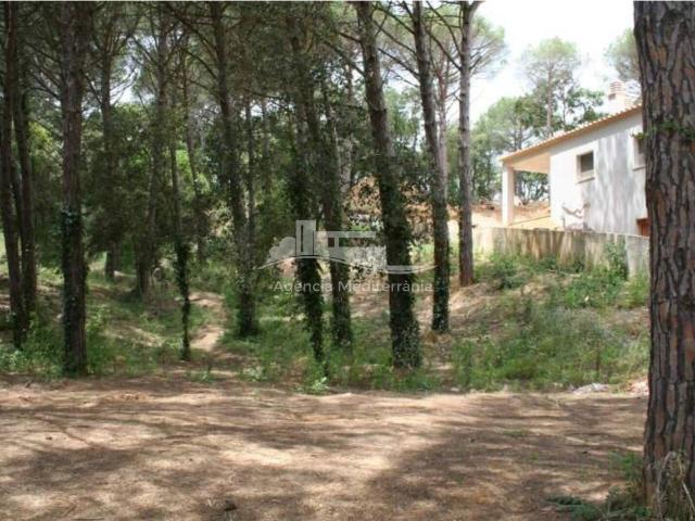 PARCELA URBANA EDIFICABLE EN CALONGE MAS PERE – COSTA BRAVA