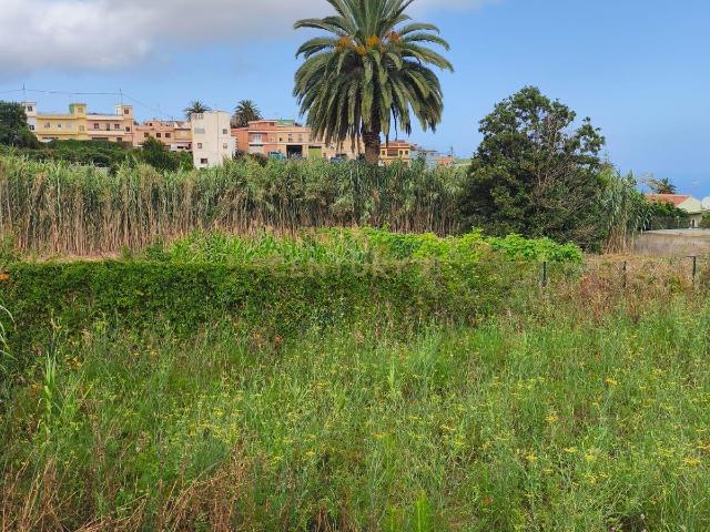 Parcela urbana en Tacoronte, Santa Cruz de Tenerife