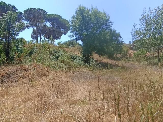PARCELA URBANA EN TORDERA EN URBANIZACIÓN NIAGARA PARC