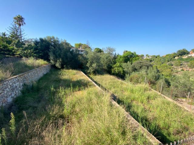 PARCELA URBANA EN VENTA, EN URBANIZACION EL RESPIRALL DE ALZIRA