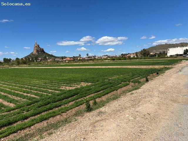 PARCELA URBANA EN VRDA DE LA CUEVA MONTEAGUDO