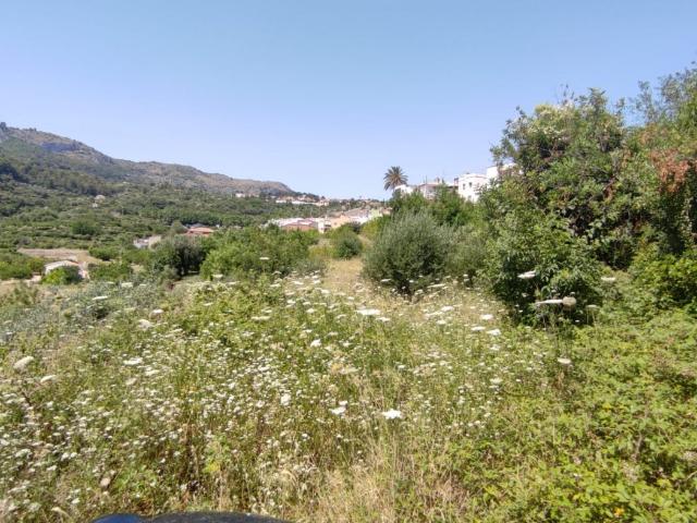 Parcela urbana en el corazón de la Marina Alta