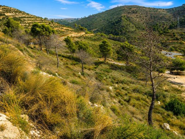 ¡PARCELA URBANA EN LA EMPEDROLA ALICANTE !