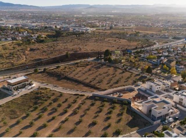 Parcela Urbana en Loma Verde PARA VIVIENDA UNIFAMILIAR 620M2