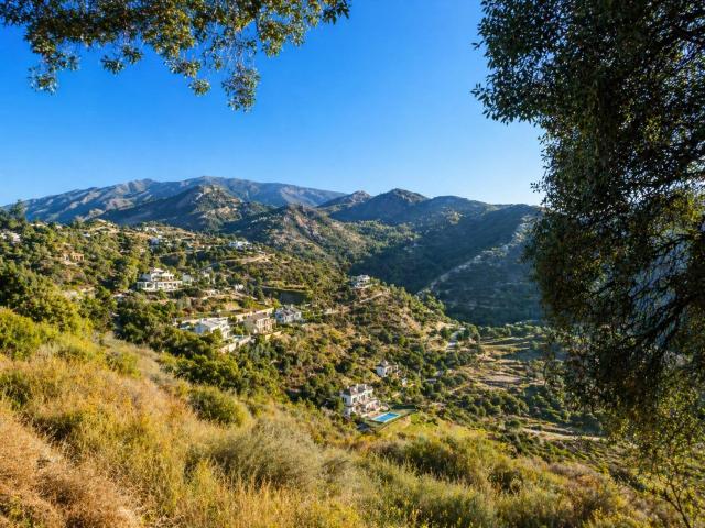 ✨ PARCELA URBANA EN MONTE MAYOR ALTO PARA PROYECTO DE LUJO ✨