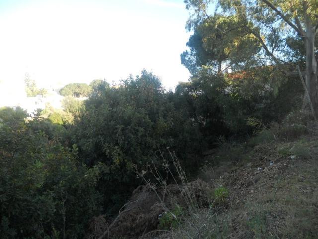Parcela urbana para chalet independiente o casas pareadas 539m2