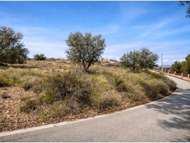 Parcela urbana SR2 en Moralet Alicante