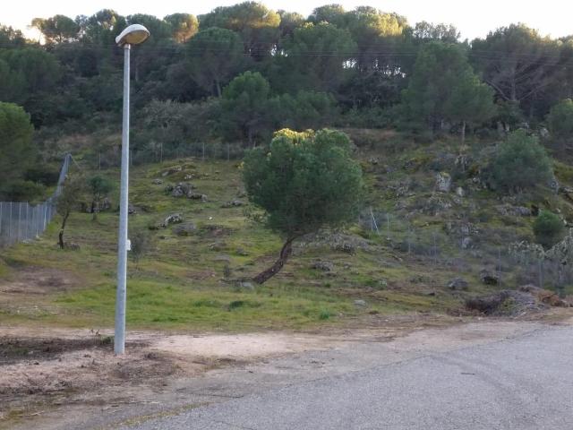 PARCELA URBANIZABLE EN LAS JARAS