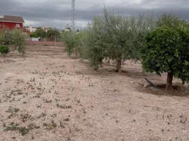 Parcela Venta Murcia
