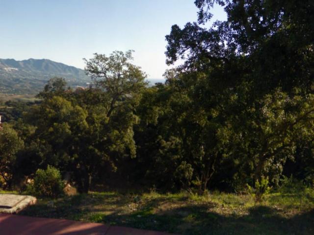 Parcela Venta Málaga