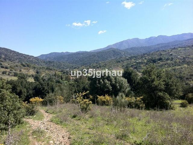 Parcela Venta Málaga