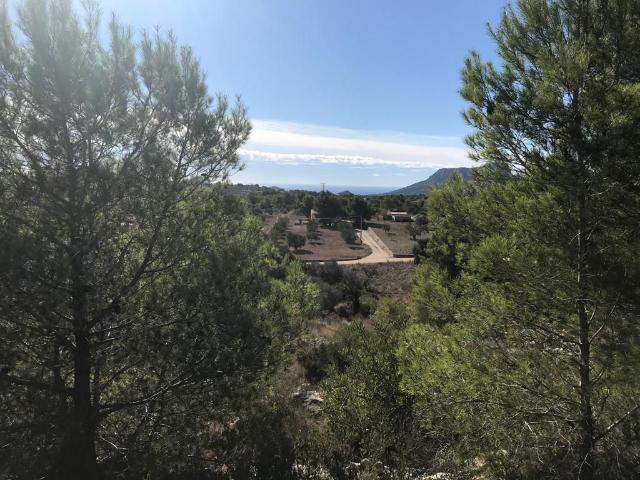Parcela Venta Alicante