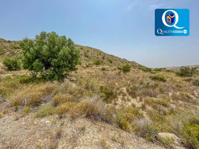 Parcela Venta Alicante