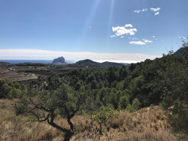 Parcela Venta Alicante