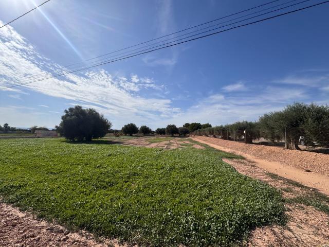 Parcela Venta Alicante