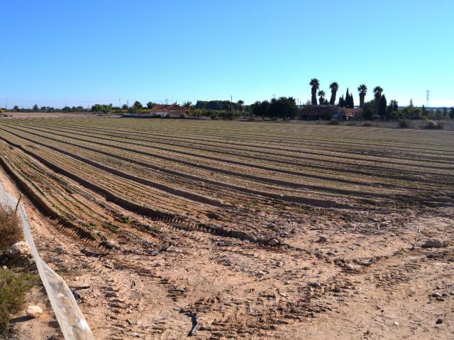 Parcela Venta Alicante