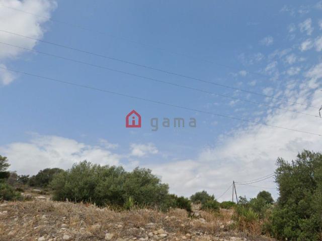 Parcela Venta Castellón