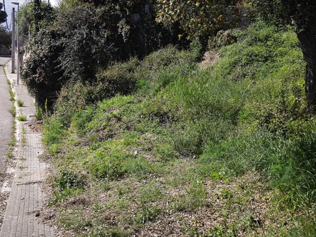 Parcela Venta Girona