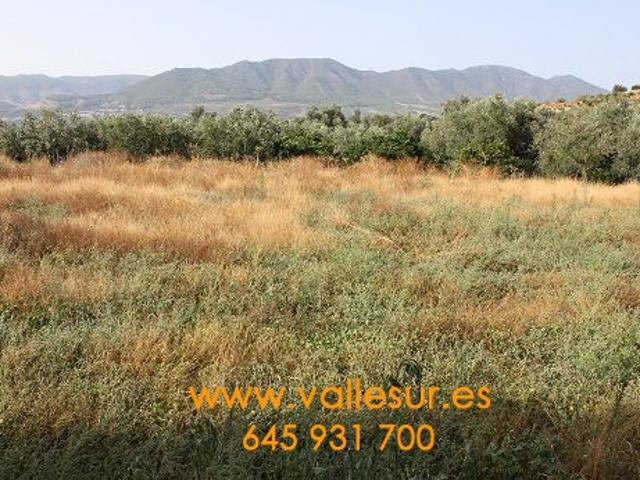 Parcela Venta Granada