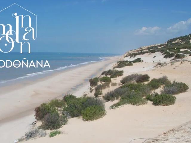 Parcela Venta Huelva
