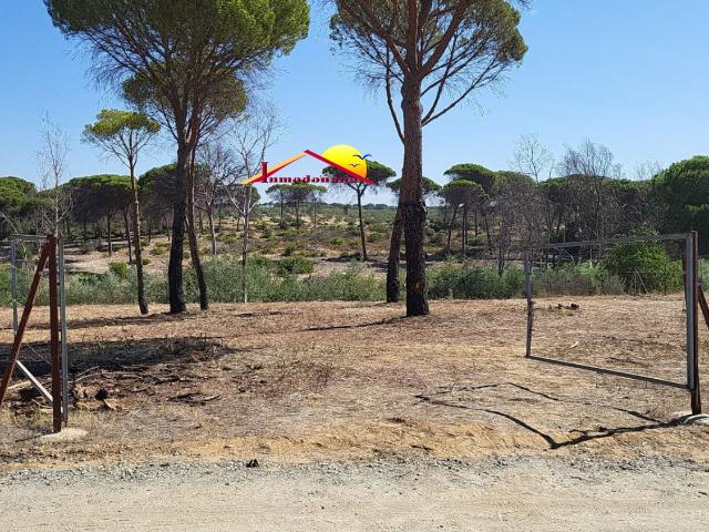 Parcela Venta Huelva