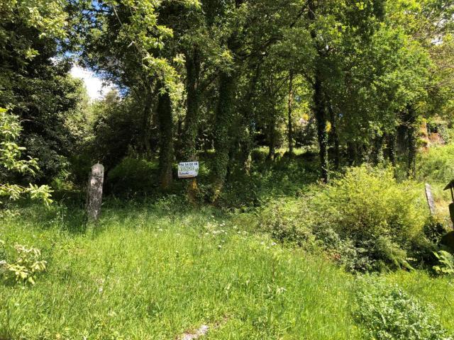 Parcela Venta Pontevedra