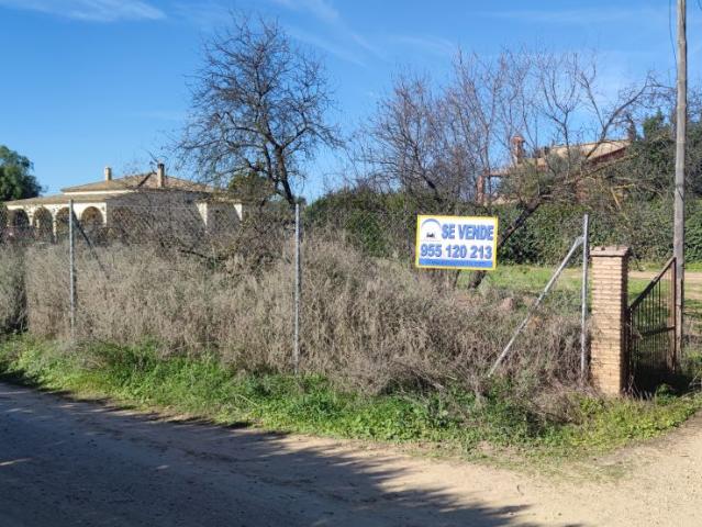 Parcela Venta Sevilla