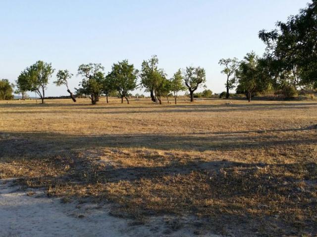 Parcela Venta Tarragona