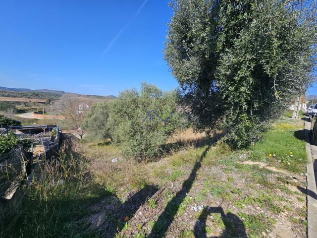 Parcela Venta Tarragona