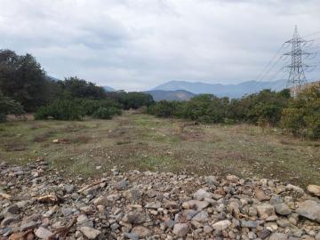 PARCELA 5000 M2 COND. ALTOS DE OLMUE URBANIZADA