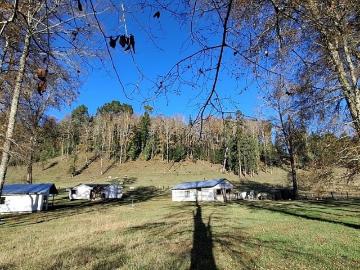 parcela 5000mt2 en villarrica con 3 casas