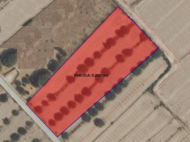 PARCELA 5.000 m2 EN AGUADERAS PARA EDIFICAR O CULTIVAR