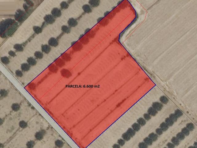 PARCELA 6.600 m2 EN AGUADERAS PARA EDIFICAR O CULTIVAR