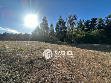 Parcelas temuco | venta | de parcela en condominio cerrado parque cumbres: clf 1965.00