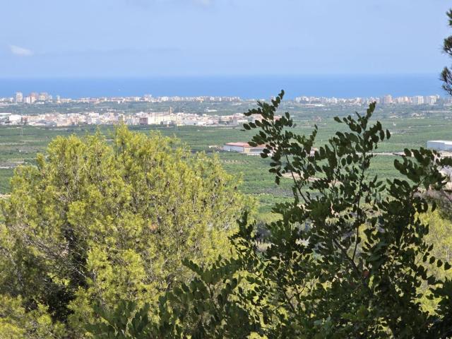 Parcelas Urbanas en La Font