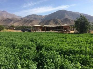 Parcelas Vicuña | venta | Aprovecha está oportunidad, se vende parcela con casa amoblada en sector Peralillo – Vicuña: CLF 6300.00