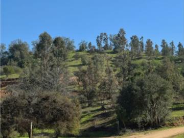 Parcelas Villa Alemana | venta | de parcela en Villa Alemana, 5.000 m2. 47 m$: clp 47000. 00