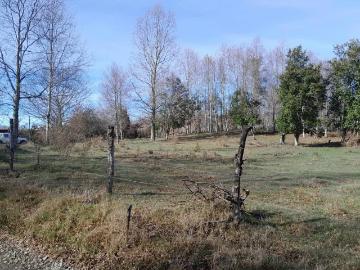 Parcelas Villarrica | venta | Parcela con calidad indígena $24.000.000 en Chucauco, Villarrica: CLP 24000. 00