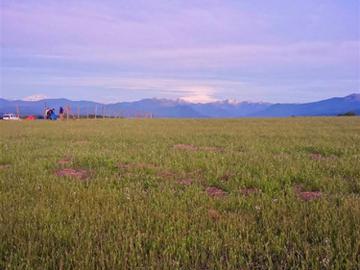 PARCELAS CAMINO A SAN FABIÁN DE ALICO, ROL PROPIO, 5000M2