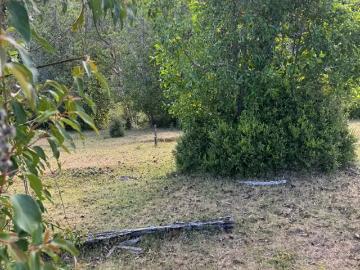 Parcelas Corral | venta | hermosa parcela 5.000 mts 2: CLP 15000. 00