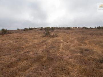 Parcelas El Tabo | venta | Se venden parcelas proyecto en Blanco El tabo, sector Quillaycillo: CLP 55000. 00